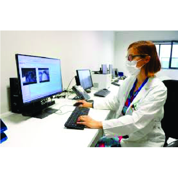 Neurofisiología